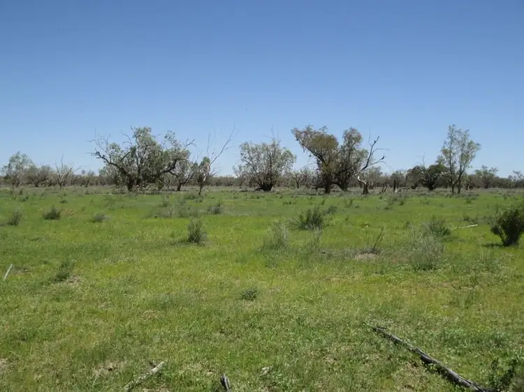 Main view of Homely rural property listing, Morven QLD 4468