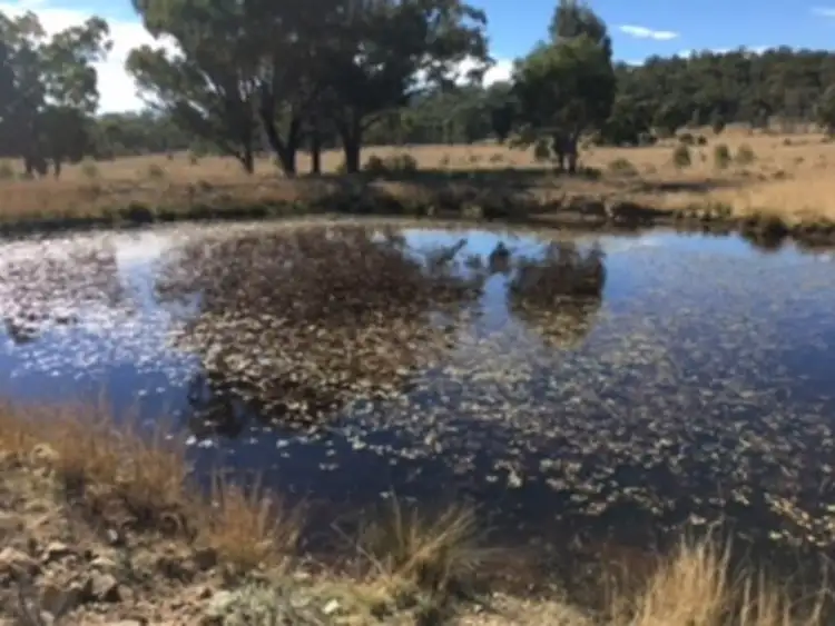 Fourth view of Homely rural property listing, 1467 Wickham Road, Thanes Creek QLD 4370