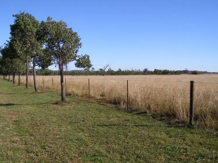 Third view of Homely rural property listing, 40 Hills Lane, Inverell NSW 2360