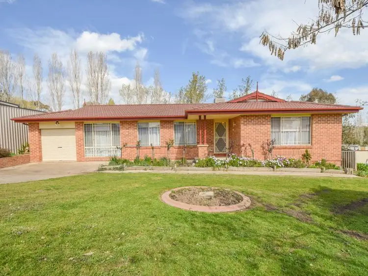 Main view of Homely house listing, 14 Tadros Ave, Young NSW 2594