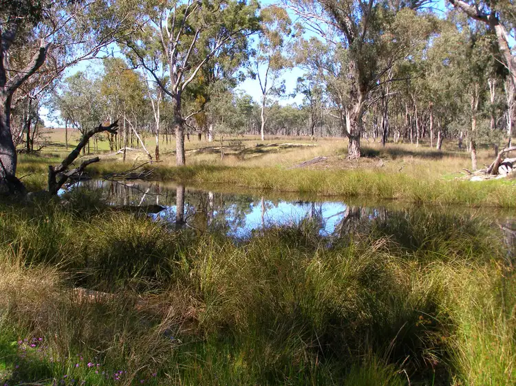 Third view of Homely rural property listing, 296 Limestone Road, Ashford NSW 2361