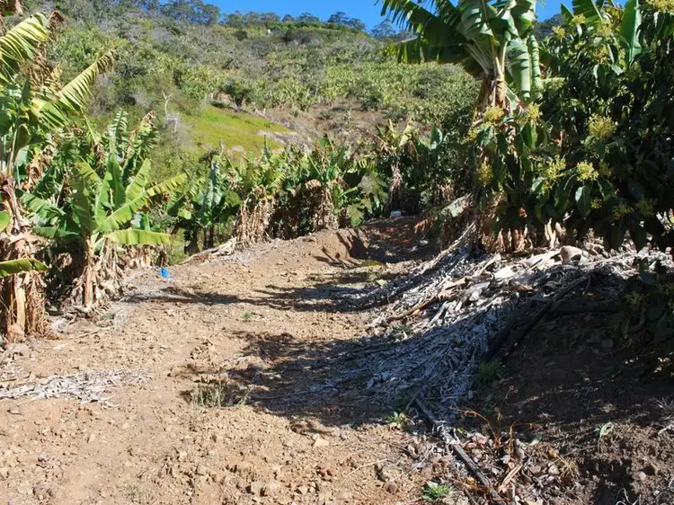 Third view of Homely land listing, Lot 1 199 Bruxner Park Road, Korora NSW 2450