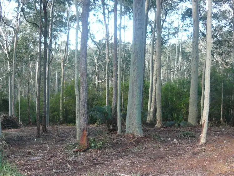 2A Willis Boulevard, Narooma NSW 2546