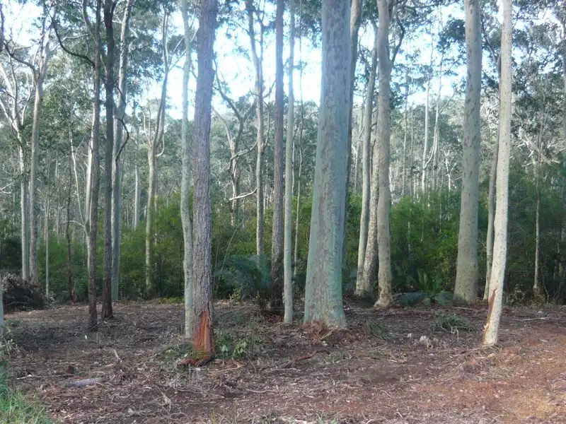 Main view of Homely land listing, 2A Willis Boulevard, Narooma NSW 2546