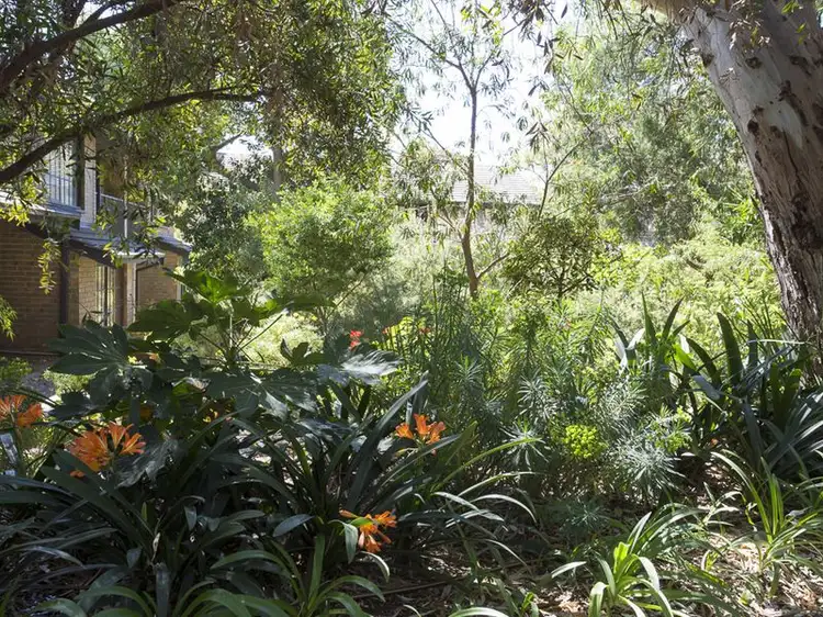 Main view of Homely townhouse listing, 1/6 Vailima Court, Hackney SA 5069