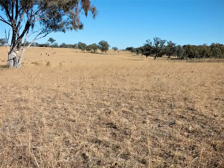 Fifth view of Homely rural property listing, Lot 3 Springdale Road, Glenlyon QLD 4380