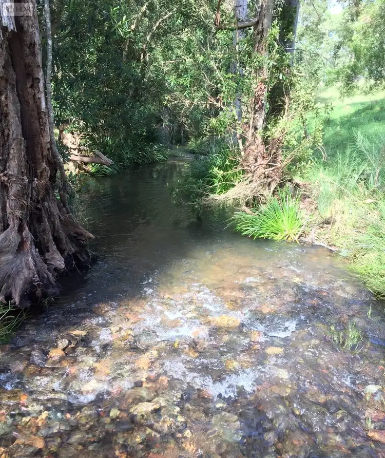 Fourth view of Homely land listing, 48 Kerriki Forest Road, Wingham NSW 2429
