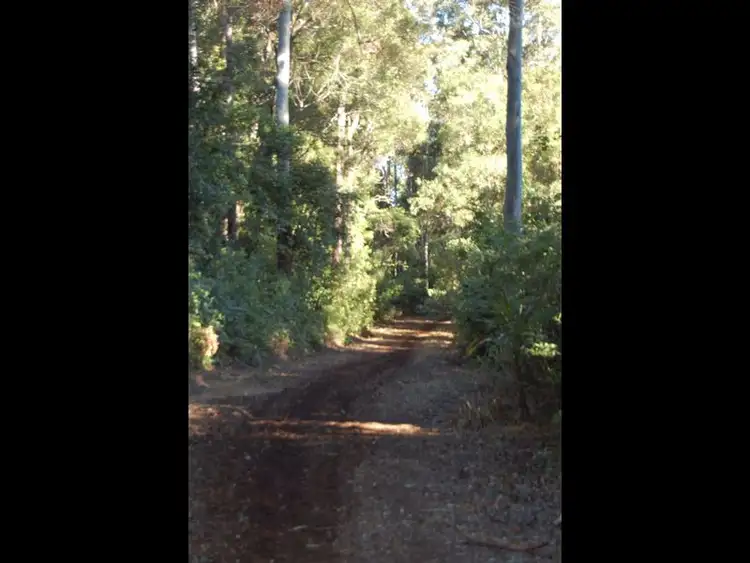 Fifth view of Homely rural property listing, Lot 34 & 3 Upper Buckrabenndinni, Bowraville NSW 2449