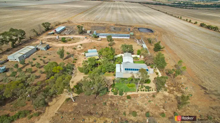 Fifth view of Homely house listing, 64 Hamley Bridge Road (Barabba), Mallala SA 5502