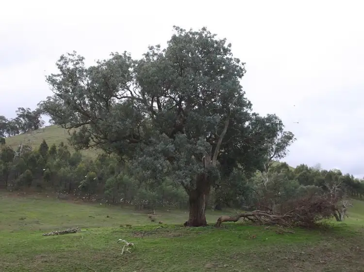 Sixth view of Homely land listing, Lot 2 133 Wrights Road, Yarck VIC 3719