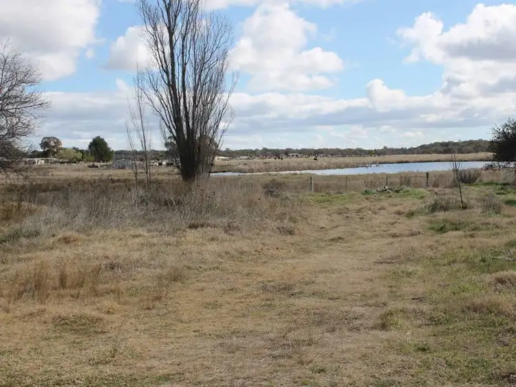 Seventh view of Homely land listing, 111 Moore Street, Emmaville NSW 2371