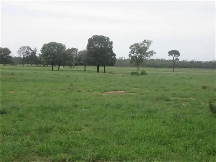 Surat-Yuleba Road, Surat QLD 4417