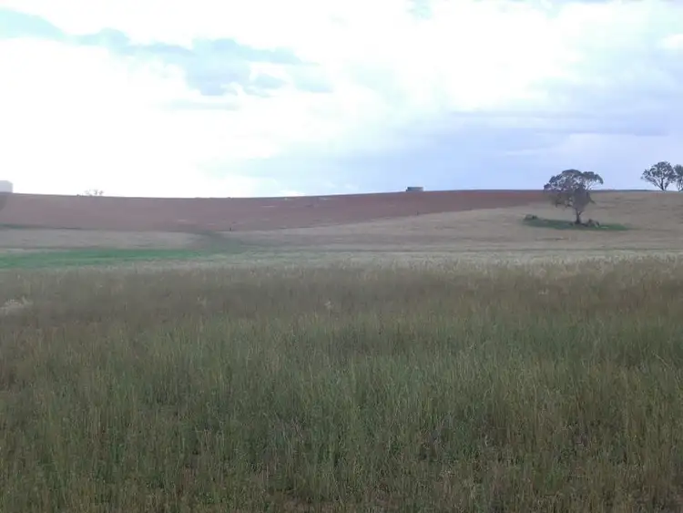 Sixth view of Homely land listing, 262 Nubba Road, Young NSW 2594