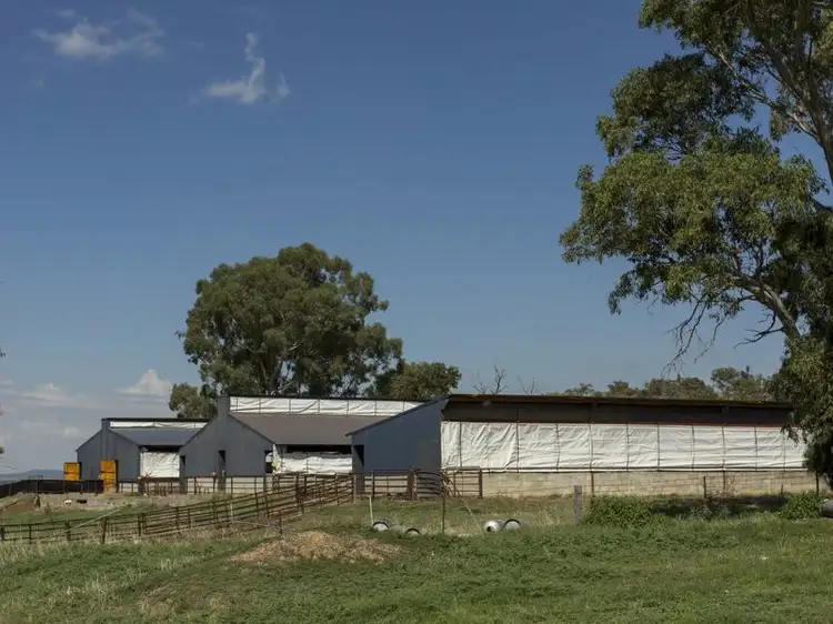Sixth view of Homely rural property listing, SPRINGVIEW Loch Lomond Road, Gooloogong NSW 2805