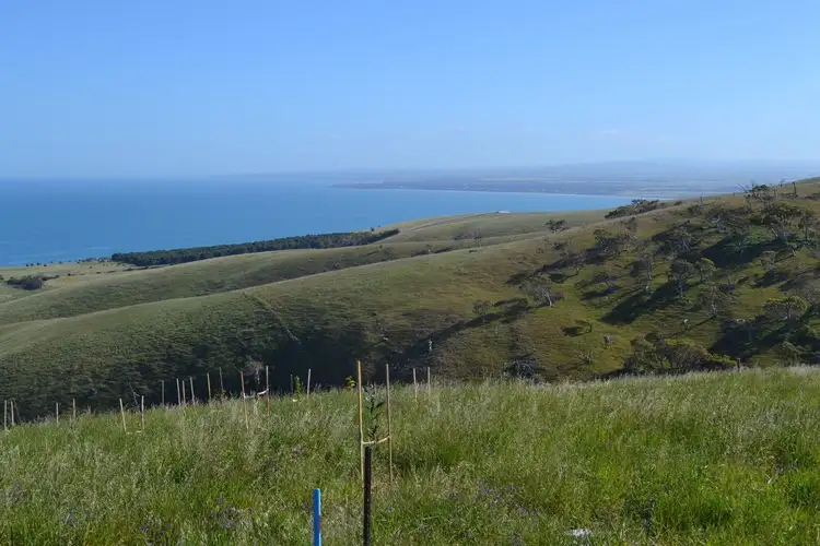 Second view of Homely land listing, 286D Sampson Road, Myponga Beach SA 5202