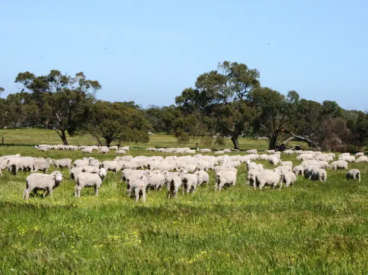 Fourth view of Homely land listing, Lot 16 Bublacowie Road, Yorketown SA 5576