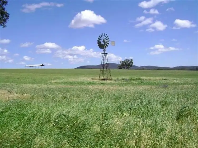 Second view of Homely rural property listing, Lot 151 Conimbla Road, Cowra NSW 2794