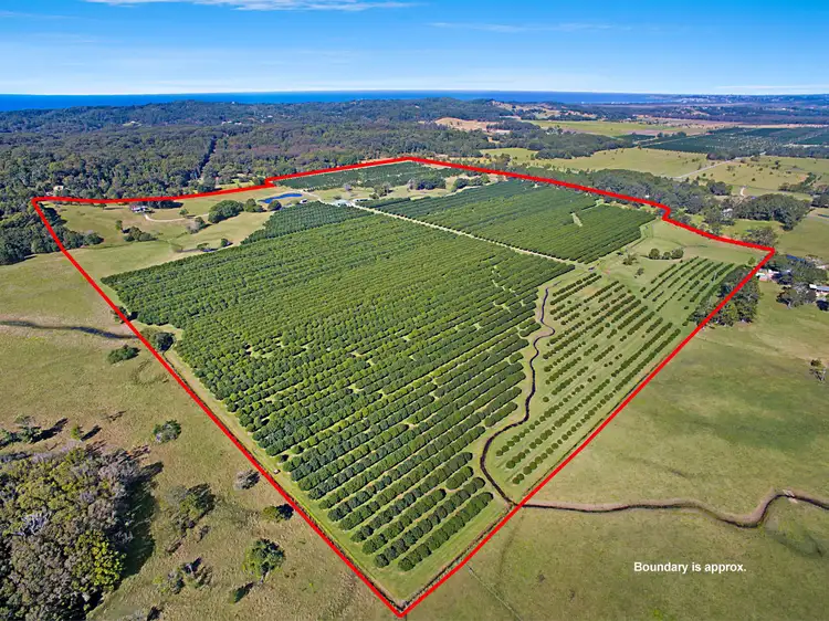 80 Midgen Flat Road, Broken Head NSW 2481