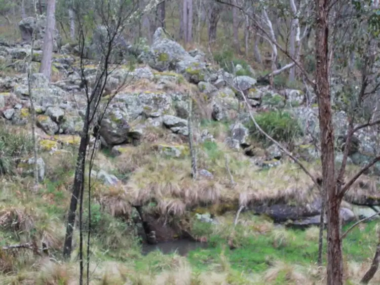 Third view of Homely rural property listing, Lot 2 Morven Road, Glen Innes NSW 2370