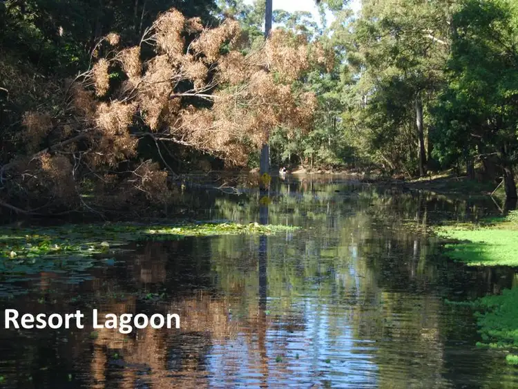 Sixth view of Homely villa listing, 3/10-12 Tropic Lodge Place, Korora NSW 2450