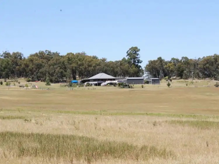 Seventh view of Homely rural property listing, 2312 Torrington Rd, Torrington NSW 2371