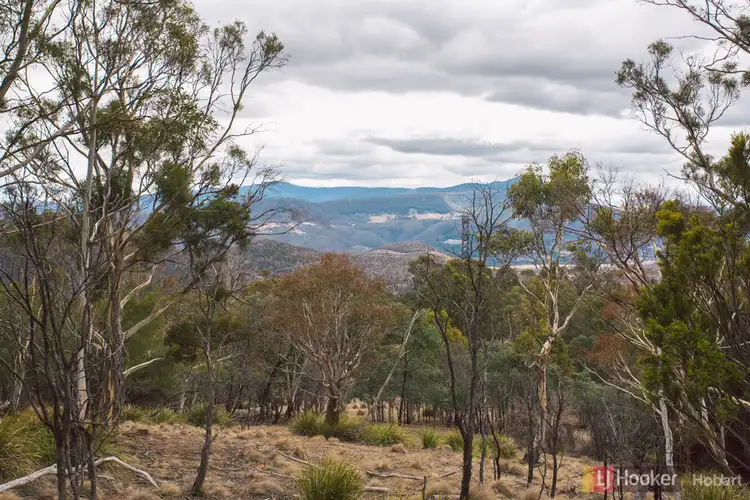 Lot 6/ Collins Cap Road, Molesworth TAS 7140