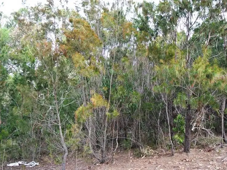 Fourth view of Homely land listing, 26 Leanne Street, Macleay Island QLD 4184