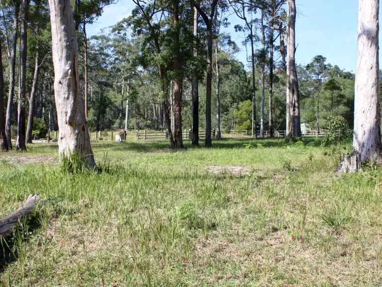 Third view of Homely land listing, 19 Tree Frog Grove, Woombah NSW 2469