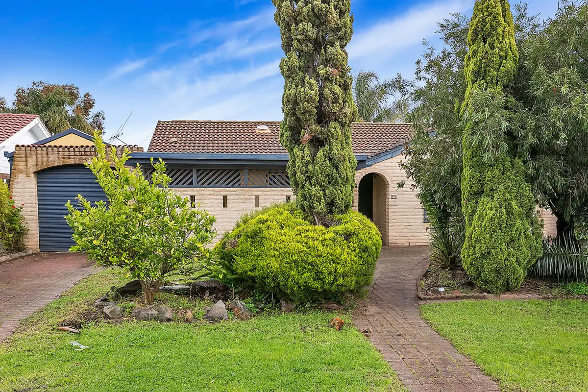 Main view of Homely house listing, 4 Pierre Road, Modbury SA 5092