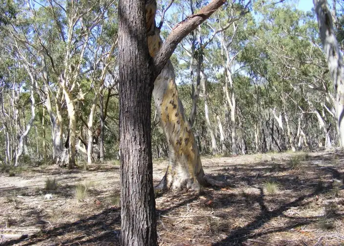 Seventh view of Homely rural property listing, 99 Carters Close, Greenwich Park NSW 2580