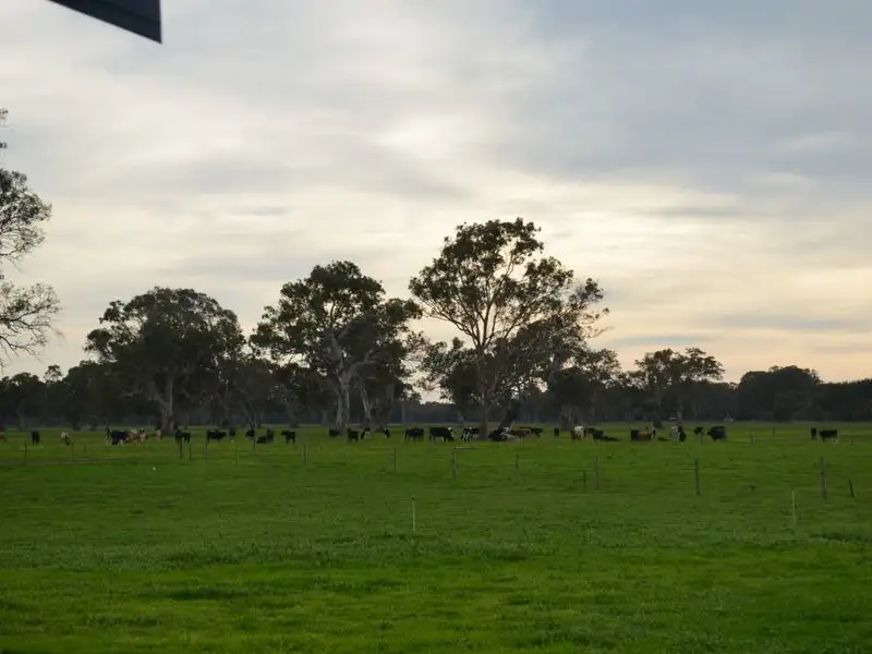 Main view of Homely rural property listing, 17150 Riddoch Highway, Penola SA 5277