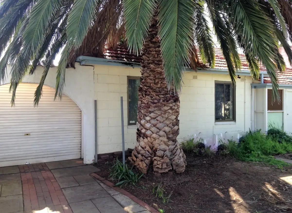 Main view of Homely house listing, 24 Lascelles Avenue, Hove SA 5048