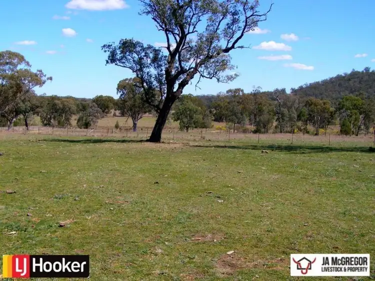 Second view of Homely rural property listing, 1590 Oregan Road, Warialda NSW 2402