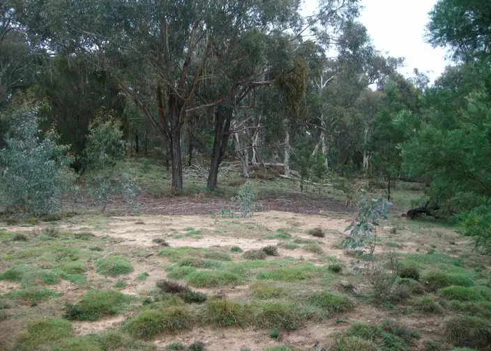 Main view of Homely rural property listing, Lot 246 Fernleigh Close, Windellama NSW 2580