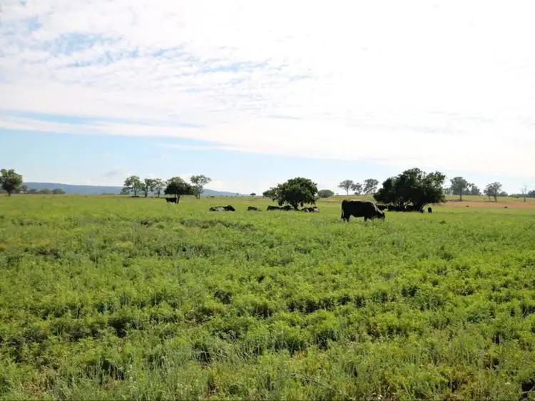 Third view of Homely house listing, 10 Princes Lane, Inverell NSW 2360