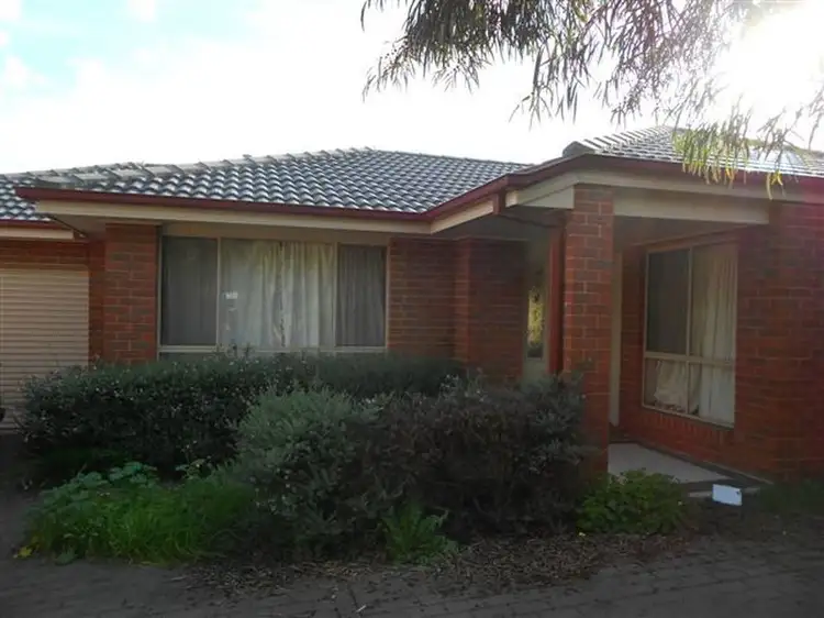 2/19 Evelyn Street, Clayton VIC 3168