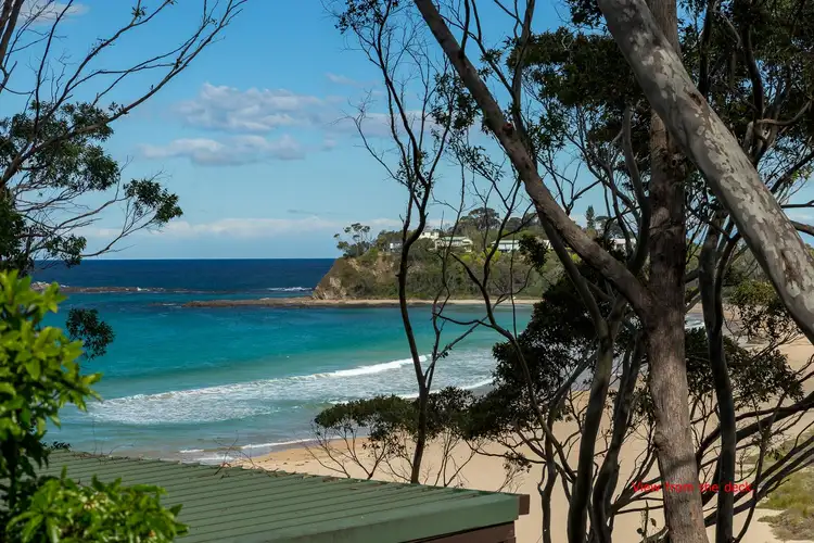 Main view of Homely house listing, 55 Yowani Road, Rosedale NSW 2536