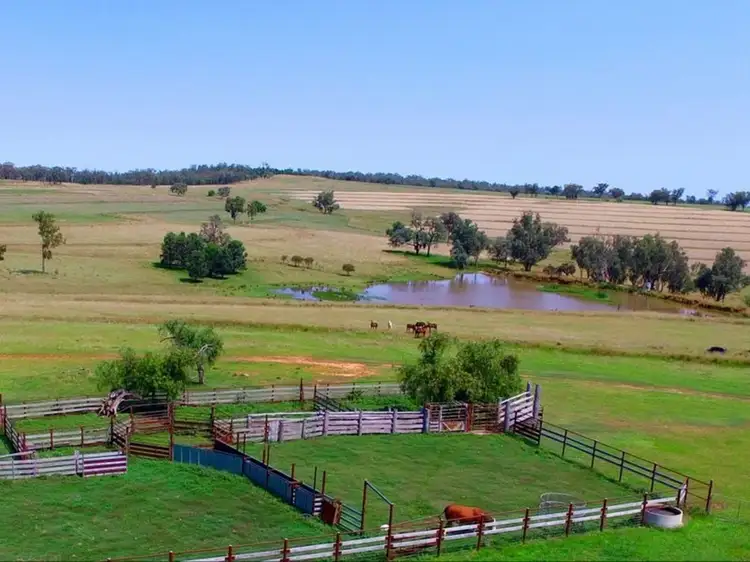 Fifth view of Homely rural property listing, 6025 Yetman Road, Inverell NSW 2360