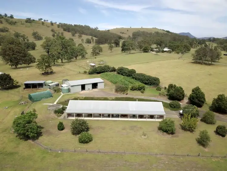 Fifth view of Homely rural property listing, 3 Jacks Road, Killawarra NSW 2429