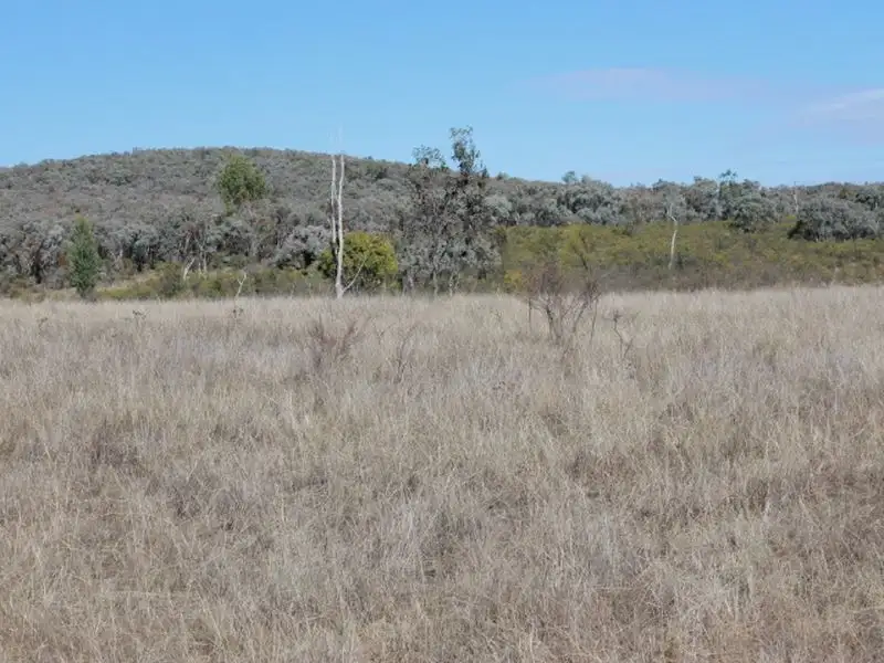 Main view of Homely rural property listing, Lot 3 Silent Grove Rd, Torrington NSW 2371