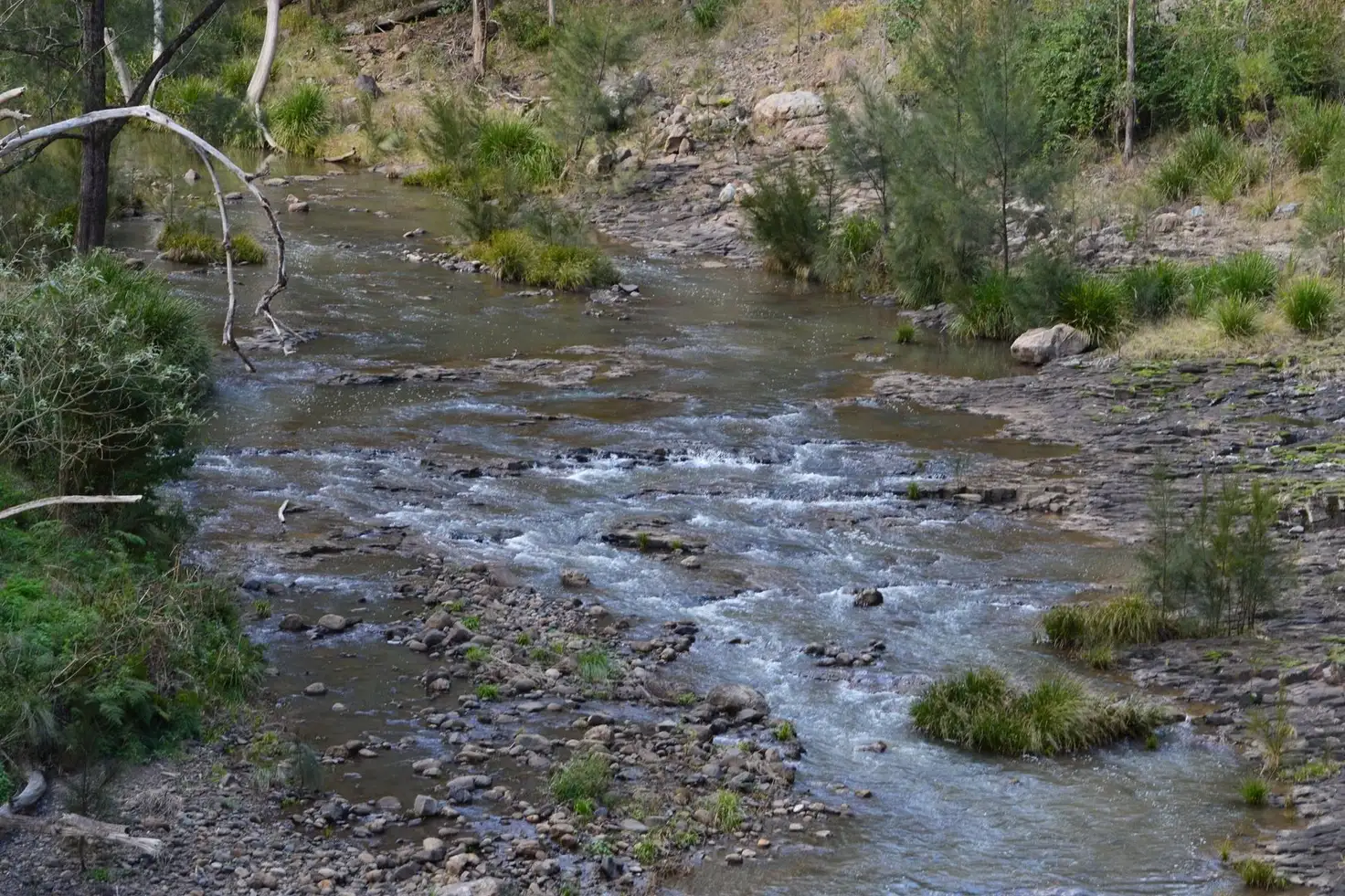 Main view of Homely rural property listing, Lot 165 Condamine River Road, Killarney QLD 4373