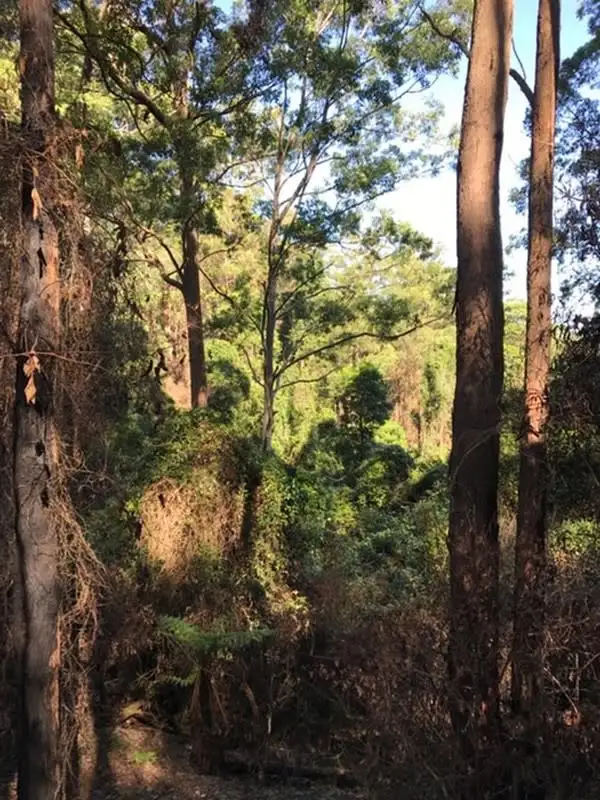 Main view of Homely rural property listing, Address available on request