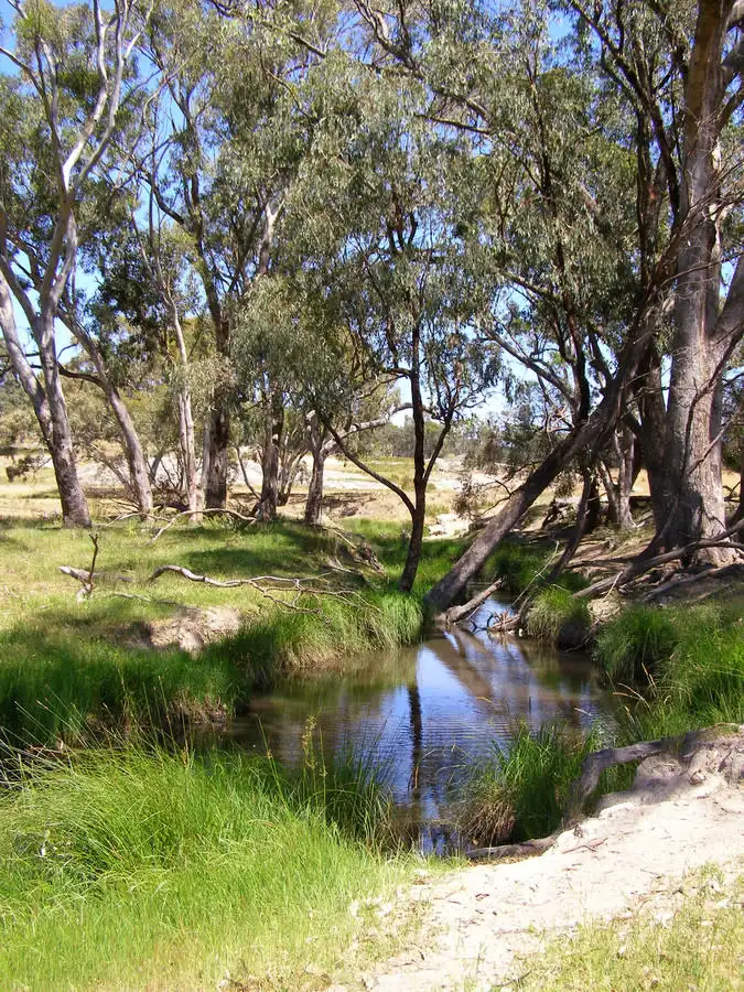 Seventh view of Homely rural property listing, 984 Bakers Creek, Bundarra NSW 2359