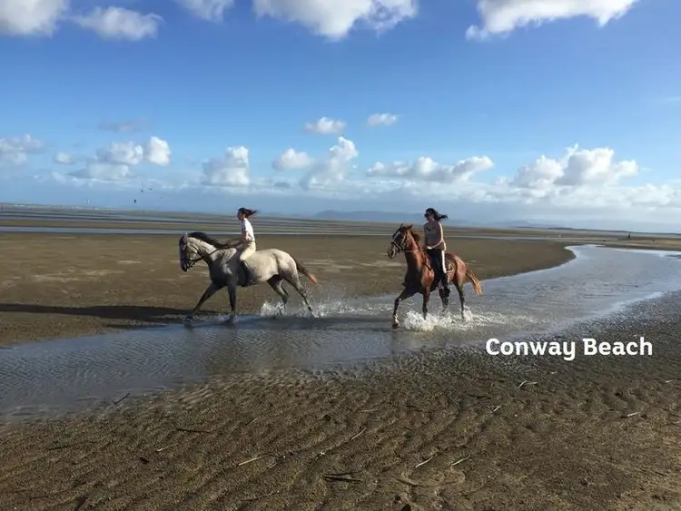 Second view of Homely rural property listing, 15 Allan Road, Conway Beach QLD 4800