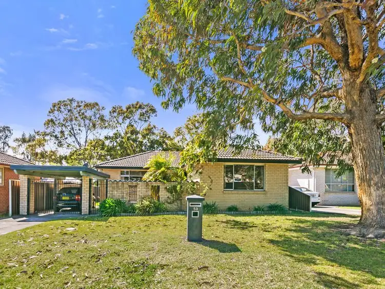 Main view of Homely house listing, 53 Elm Street, Albion Park Rail NSW 2527