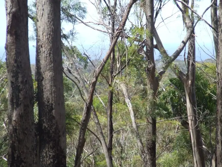 Fourth view of Homely land listing, 701a Binalong Bay Road, Binalong Bay TAS 7216