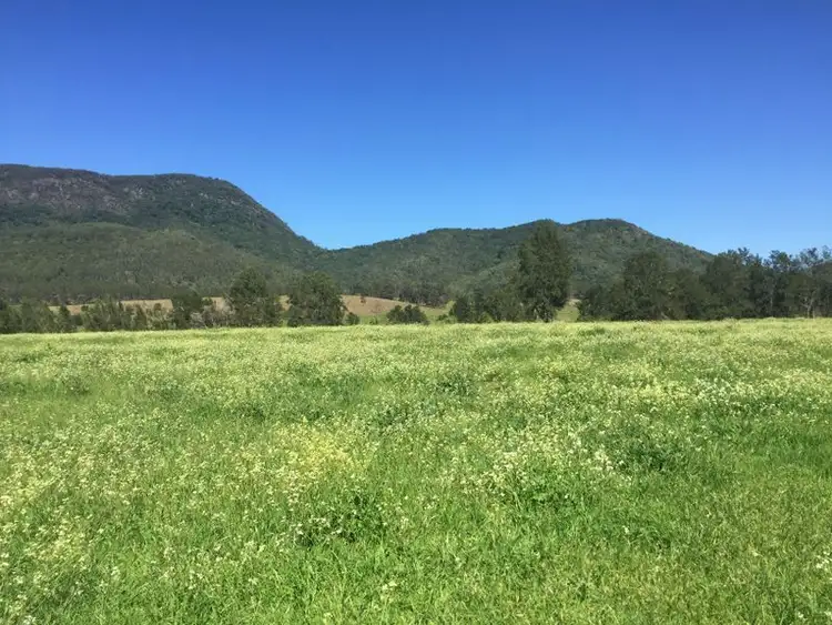 Sixth view of Homely rural property listing, 1553 Nowendoc Road MOUNT GEORGE via, Wingham NSW 2429