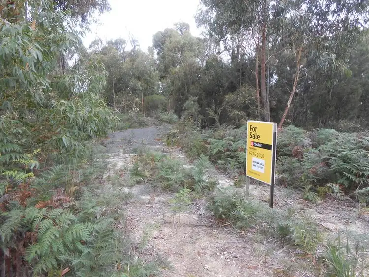 Fifth view of Homely land listing, LOT 14 Tasman Highway, Scamander TAS 7215