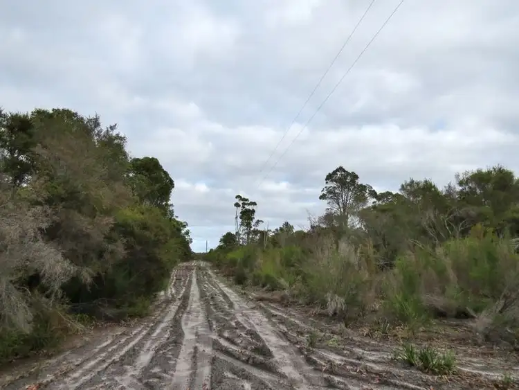 Third view of Homely land listing, 3 Gumnut Rd, Northcliffe WA 6262