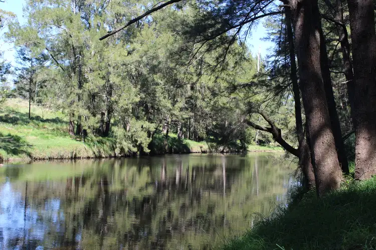 Third view of Homely rural property listing, 9985 Princes Highway, Cobargo NSW 2550